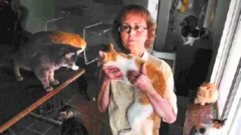 crazy cat lady - YouTube