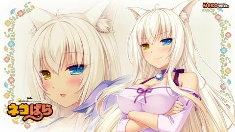 Coconut Nekopara Wallpaper (86+ images)