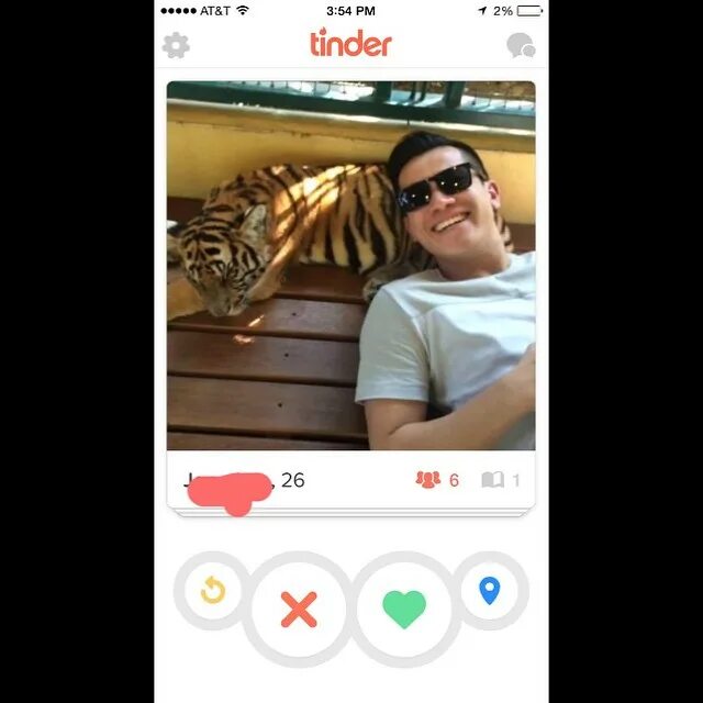 @tinderguyswithtigers on Instagram: "Pillow tiger. #tinderguyswithtige...