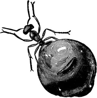 Honey Ant ClipArt ETC