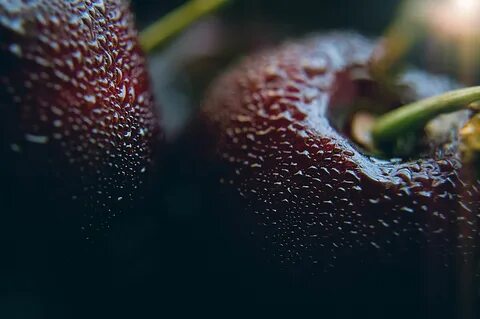 Blur cherries close-up dark dewdrops focus fruit grow macro 