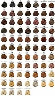 Pin by salma salah on Hair color highlights Hair color chart