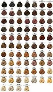 Amazon.com: health hair Hair color chart, Clairol hair color