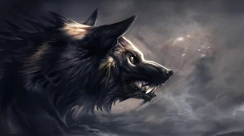 Pin by Cristóbal on Lobos Shadow wolf, Dire wolf, Werewolf a