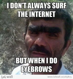 Eyebrows Funny meme pictures, Funny pictures, Funny