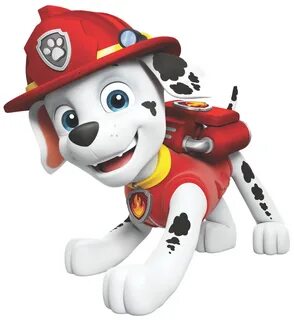 PAW Patrol's Marshall - PAW Patrol & Friends Official Site M