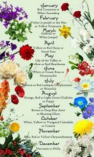 Birthdate Flower Chart :-) Birth flowers, Flower meanings, B
