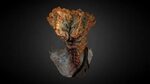 Clicker The Last Of Us Zombie - 3D model by Saul Serrano de0