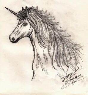 Unicorn Drawing by Susan Turner Soulis Fine Art America