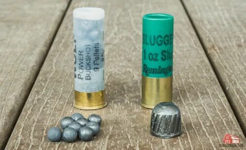 Shotgun Shells Explained Types Of Ammo Birdshot Buckshot Slu