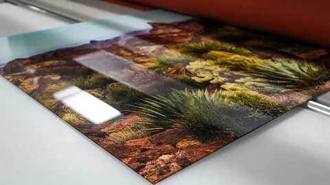 Nature Photos Printed On HD Plexiglass Acrylic - ArtisanHD