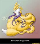 Renamon memes. Best Collection of funny Renamon pictures on 