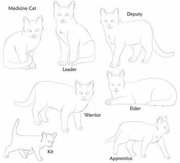 Warrior Cat Bases by dog-rose Warrior cats, Warrior cat, Cat