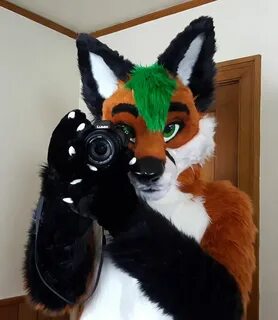 Barton Fox on Twitter Anthro furry, Fursuit furry, Furry art