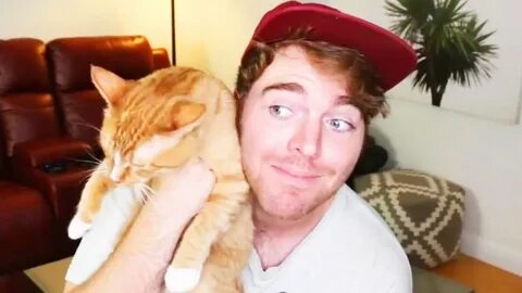 Shane Dawson: 'I've Never Done Anything Weird With My Cats' 