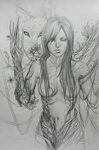 Lady of the Forest / Witherfang Dragon age origins, Dragon a
