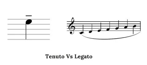 Tenuto Vs Legato (Differences Between Tenuto And Legato) - C