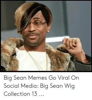 🇲 🇽 25+ Best Memes About Big Sean Wig Big Sean Wig Memes