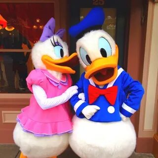 Donald Duck and Daisy Duck in Hong Kong Disneyland ☺ Donald 