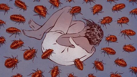 A History of Bedbugs Driving Us Insane