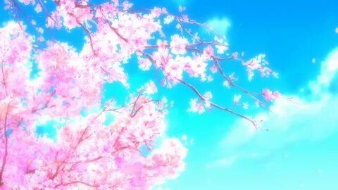 Anime Sakura Blossom Wallpapers Wallpapers - Most Popular An