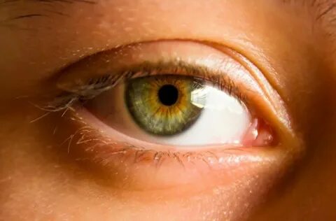 Hazel eye colour facts What are hazel eyes? - All About Visi