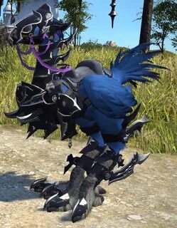 Chocobo Bardings Ffxiv : Ffxiv Chocobo Barding Guide Late To