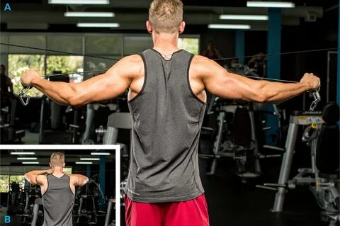 Shoulder Exercises Bodybuilding Techniques