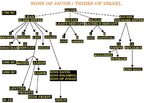 Faithful Resources for all Christian: The 12 Tribes of Israe