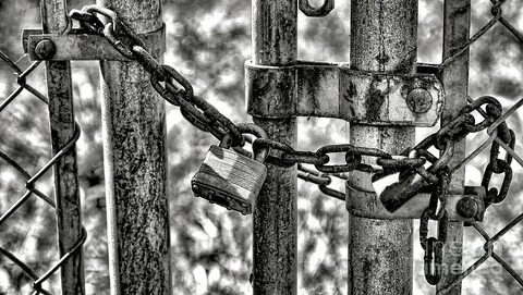 Padlock on a Chain Link Fence Gate Photograph by Olivier Le 