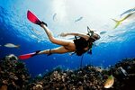 Hot Scuba Snorkeling Free Porn
