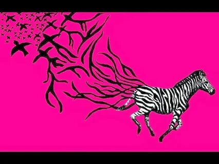 Pink Zebra Wallpapers FREE Pictures on GreePX