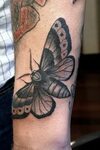 25+ Simple Moth Tattoos Moth tattoo, Idle hands tattoo, Tatt