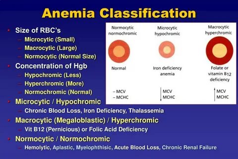 PPT - HEMATOLOGIC (BLOOD) DISEASES PowerPoint Presentation, 