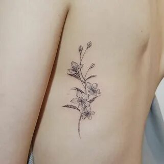 Pin by Kaylee Kuennen on tattoos Jasmine flower tattoos, Jas