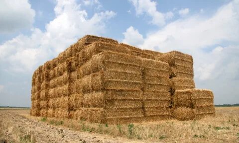 File:Straw bales in Tippecanoe County, Indiana.png - Wikimed