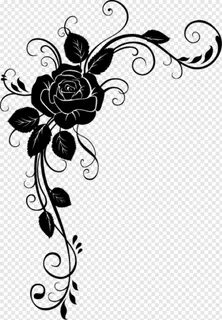 Black And White Rose, Red Rose, Rose Border, Rose Drawing, R