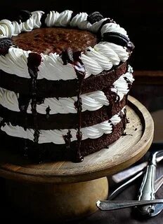 Mississippi Mud Cake with Kahlua Whipped Cream! Savoury cake