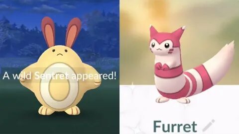 Evolving Shiny Sentret In Pokémon Go! - YouTube
