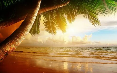 Palm Trees Beach Sand Waves Wallpapers - Wallpaper Cave