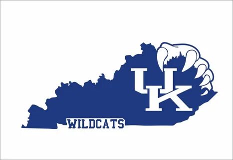 Related image Wild cats, Kentucky wildcats, Uk wildcats bask