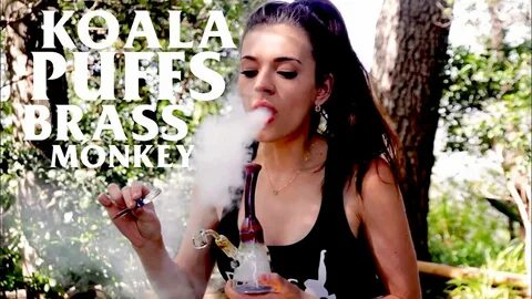 How to Smoke like Koala Puffs - YouTube