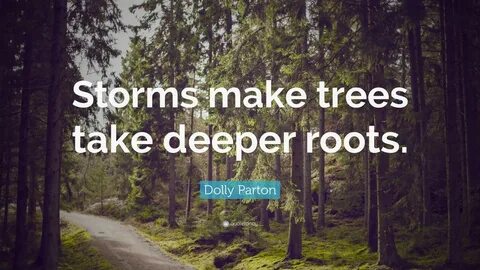 Dolly Parton Quote: "Storms make trees take deeper roots.