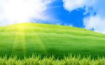green, design, grass, spring - HD Wallpaper View, Resize and