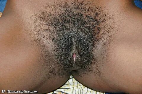 georgous and delectable ebony hairy pussy