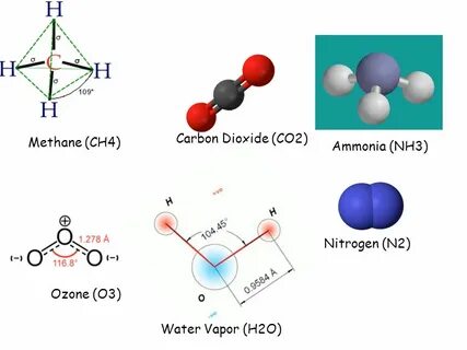 Carbon Dioxide (CO2) Methane (CH4) Ammonia (NH3) Nitrogen (N