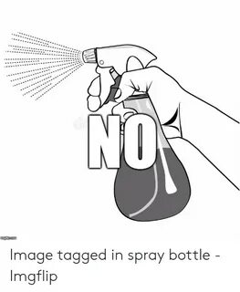 Spray Bottle No Meme - Captions More