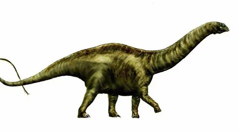 What is the difference between a Brachiosaurus and an Apatos