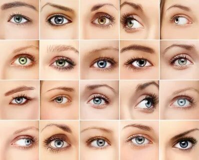 Какие бывают цвет глаз: Как мы получаем цвет наших глаз? - Б