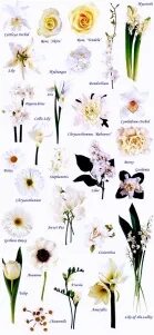 White Flowers for White Wedding - Scrunchie Girl